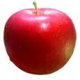 Apfel