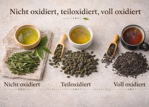 Darstellung der Oxidationsstufen von Tee: Grüntee, Oolong und Schwarztee.