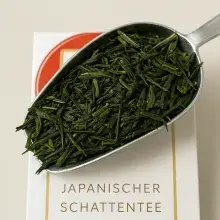 Gyokuro aus Kyoto/Uji Japanischer Grüntee