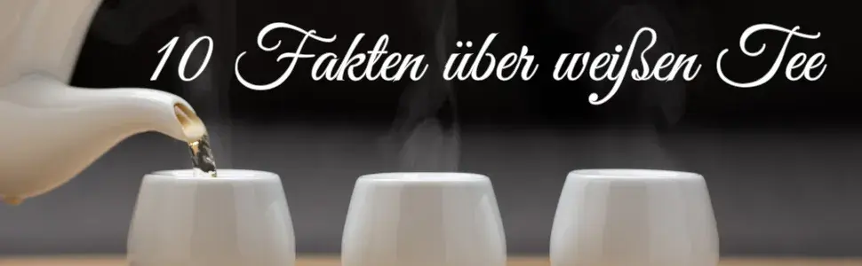 10 Fakten über weißen Tee